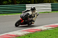 Middle Group Black Bikes